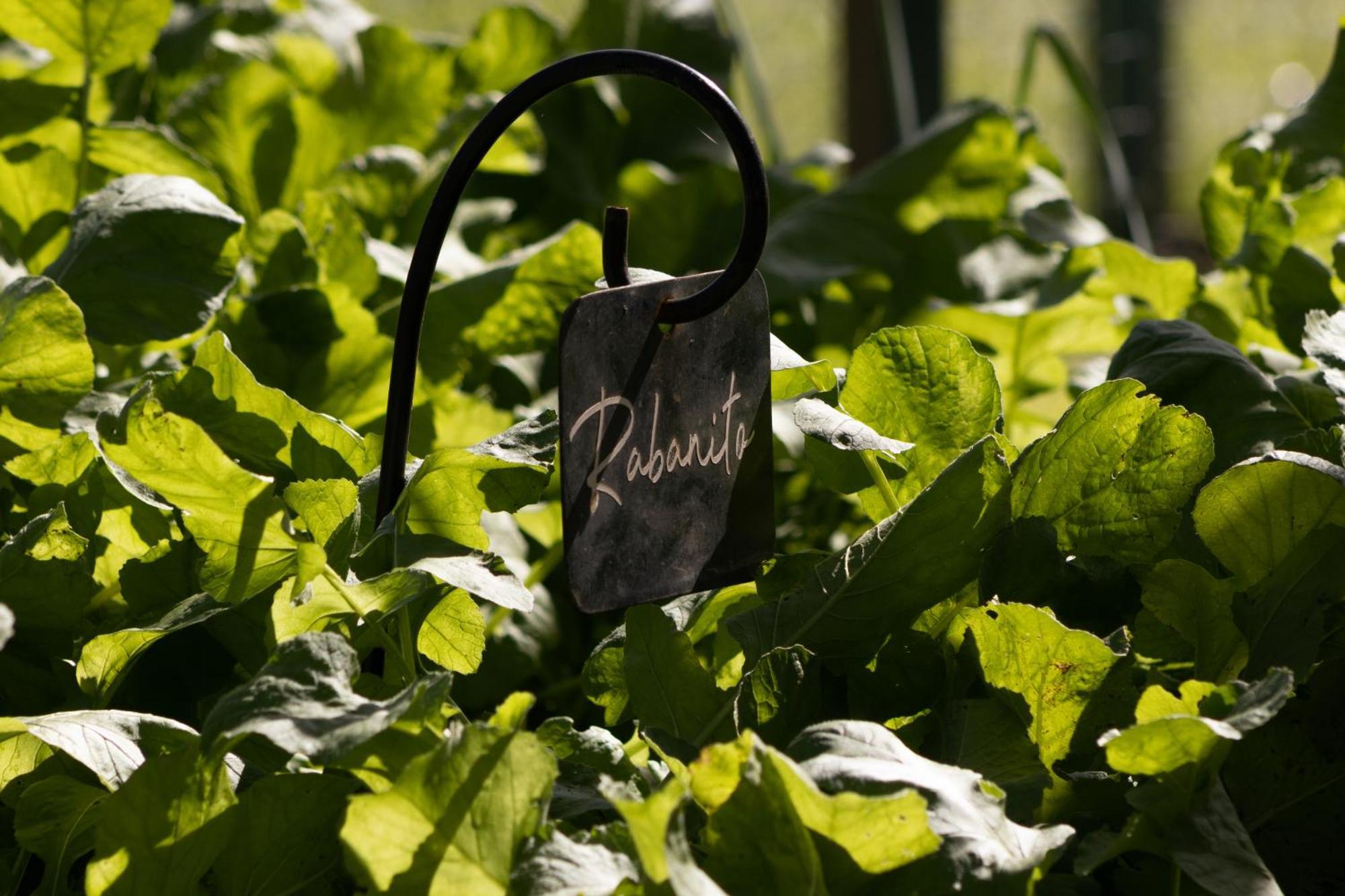 El Colibri - Relais & Chateaux Санта-Каталина Экстерьер фото